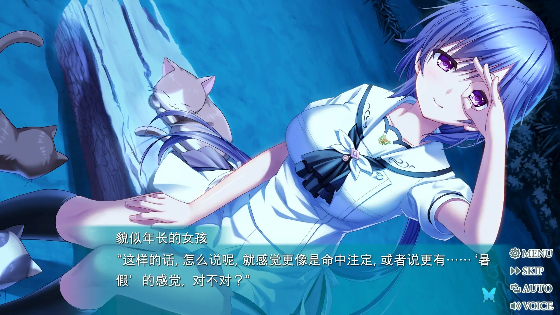 夏日口袋：流光蓝/Summer Pockets REFLECTION BLUE 游戏截图