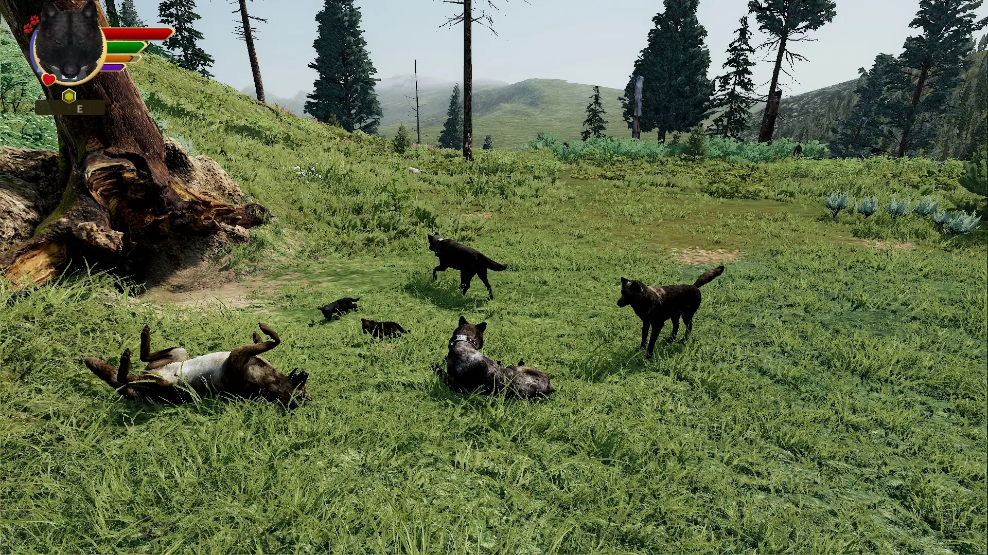 野狼谜踪:周年纪念版/WolfQuest: Anniversary Edition 游戏截图