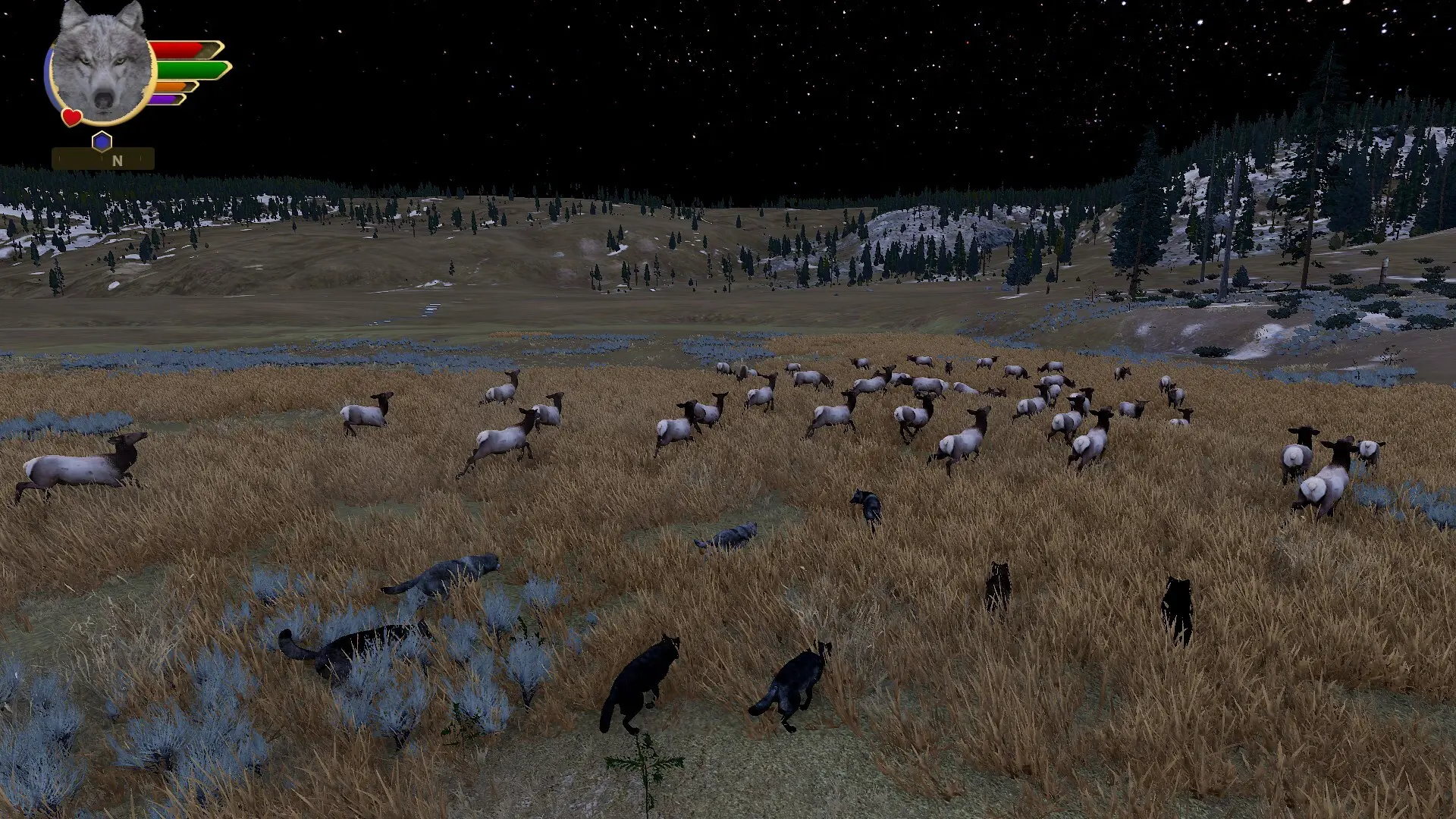 野狼谜踪:周年纪念版/WolfQuest: Anniversary Edition 游戏截图