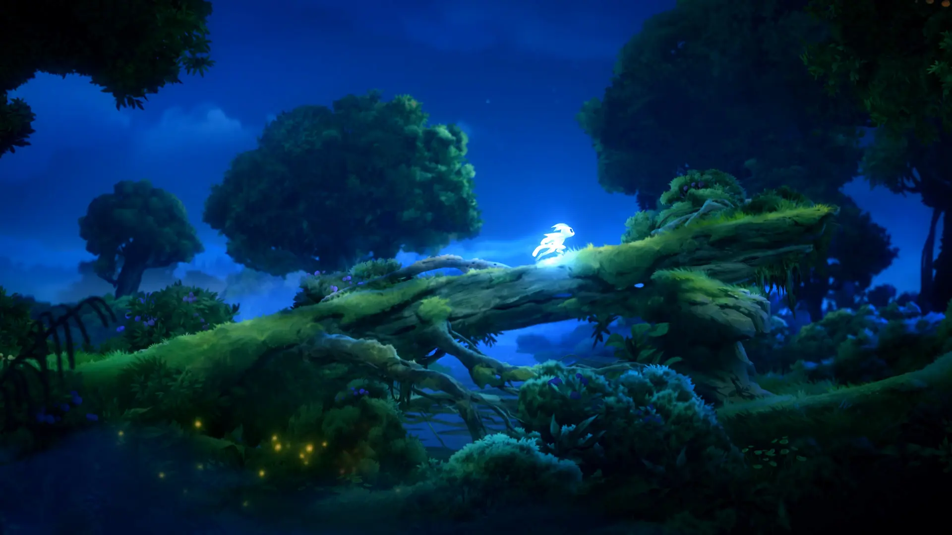 奥日与鬼火意志/Ori and the Will of the Wisps 游戏截图