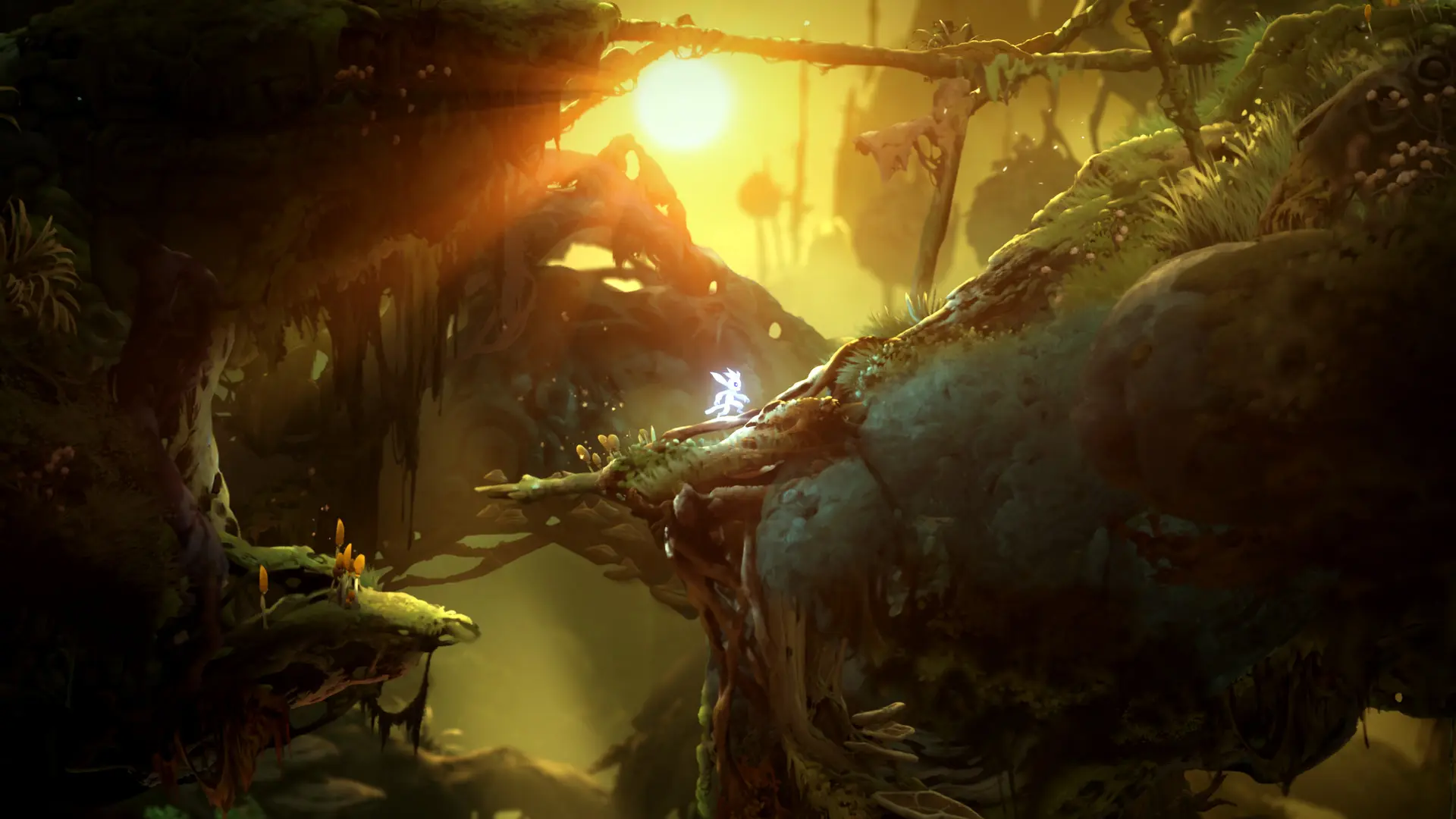 奥日与鬼火意志/Ori and the Will of the Wisps 游戏截图