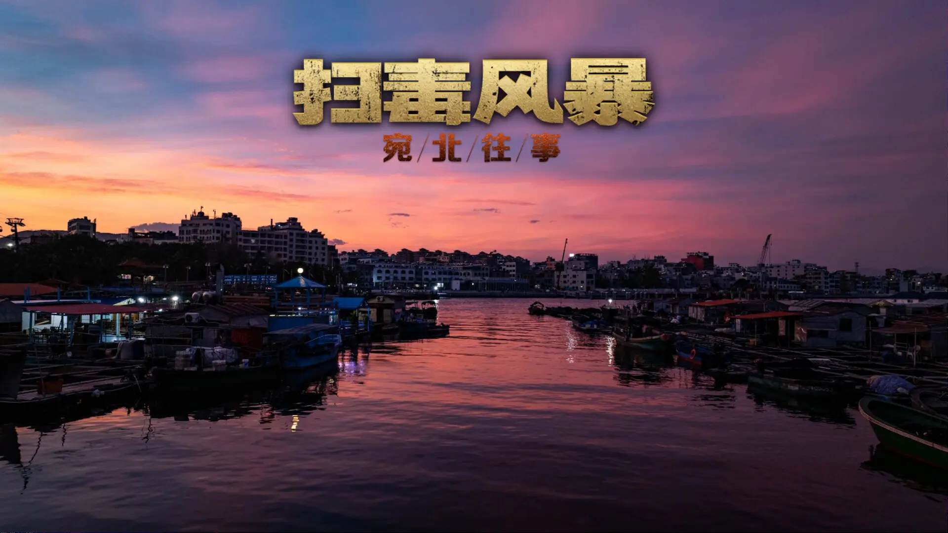 扫毒风暴:宛北往事/The Narcotic Operation 游戏截图