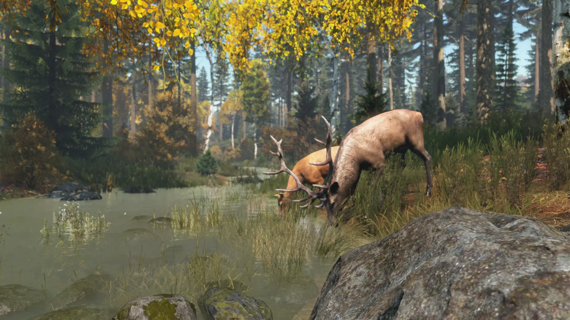 僵尸末日/DayZ 游戏截图