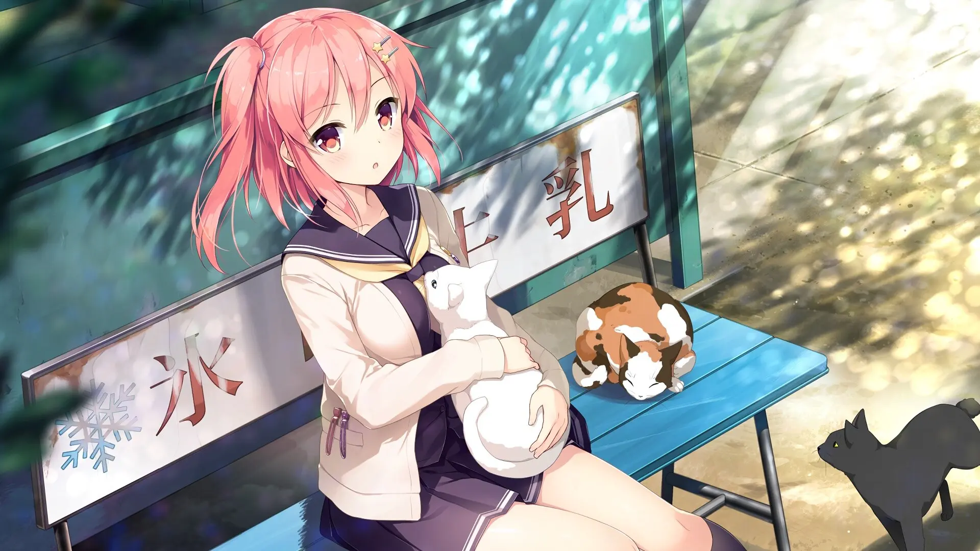 想要传达给你的爱恋/Koi x Shin Ai Kanojo 游戏截图