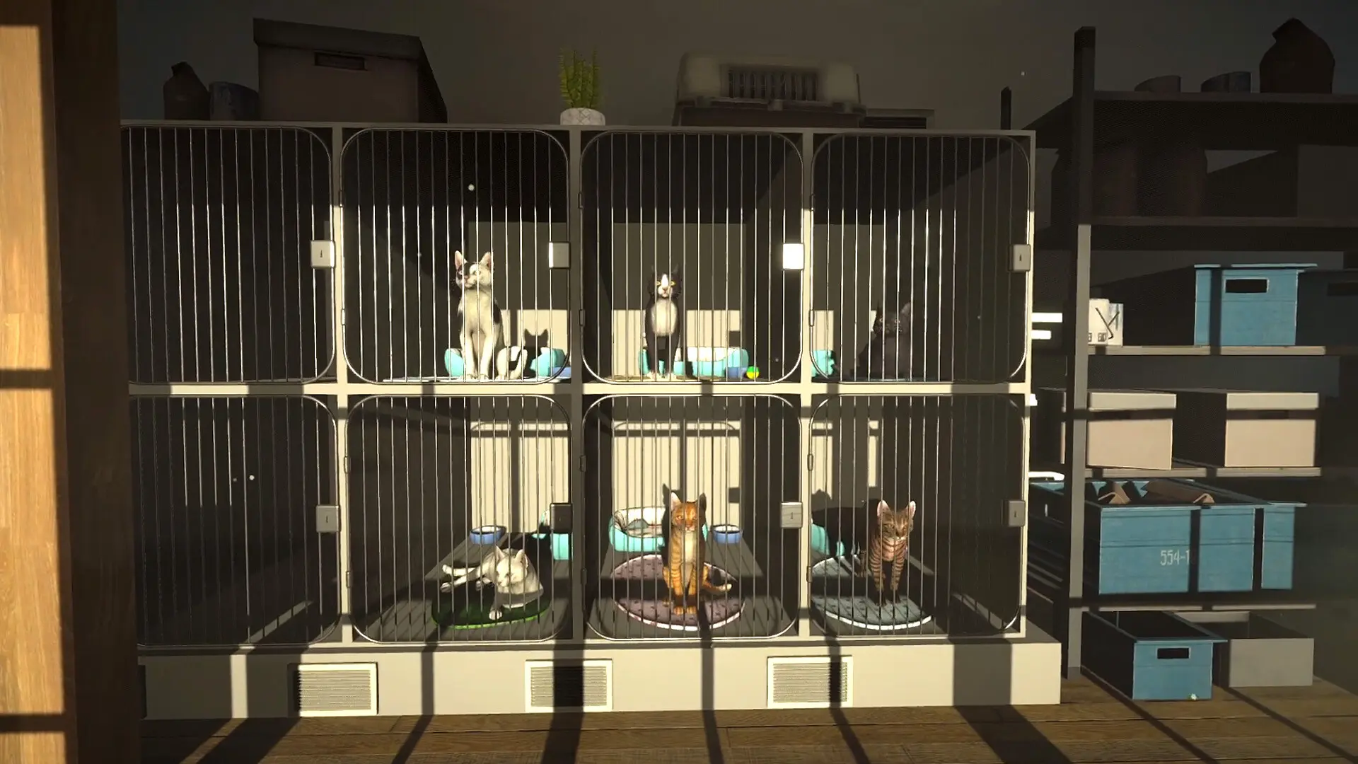 冒牌猫谜/Copycat 游戏截图