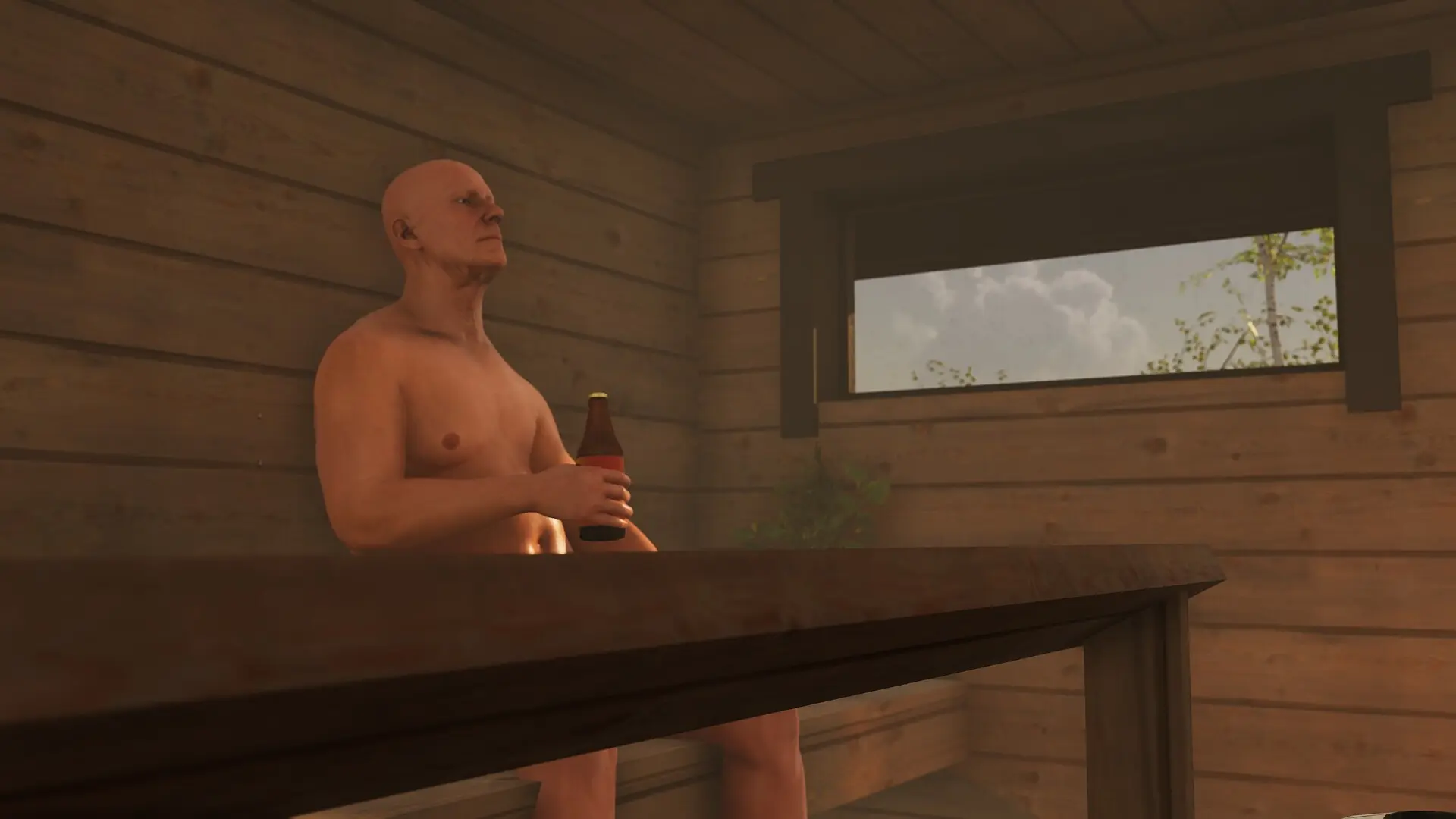芬兰小屋模拟器/Finnish Cottage Simulator 游戏截图