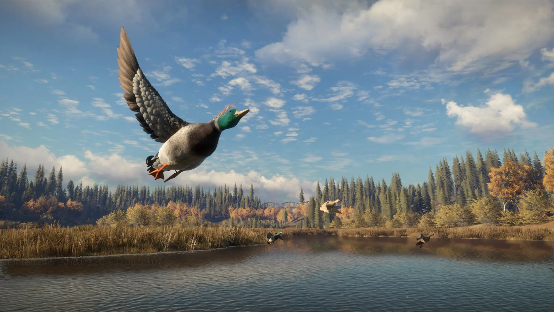 猎人:荒野的召唤/theHunter: Call of the Wild/支持网络联机 游戏截图