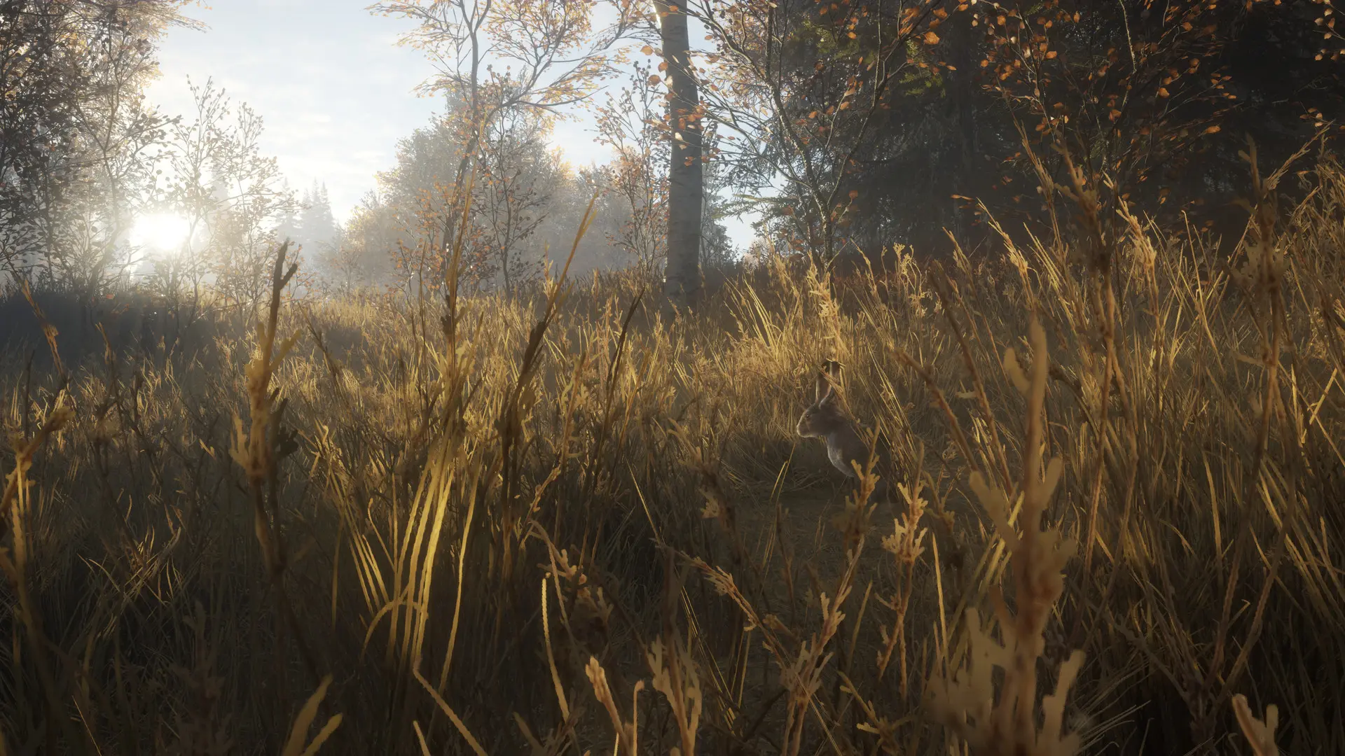 猎人:荒野的召唤/theHunter: Call of the Wild/支持网络联机 游戏截图