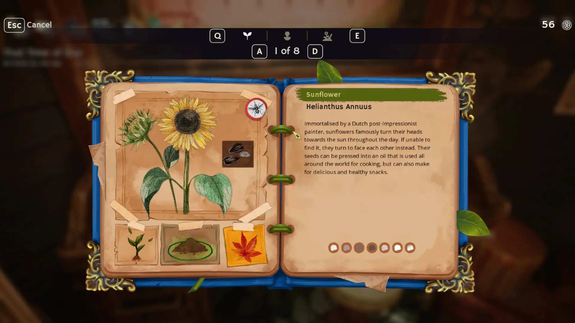 花园生涯:模拟佛系生活/Garden Life: A Cozy Simulator 游戏截图