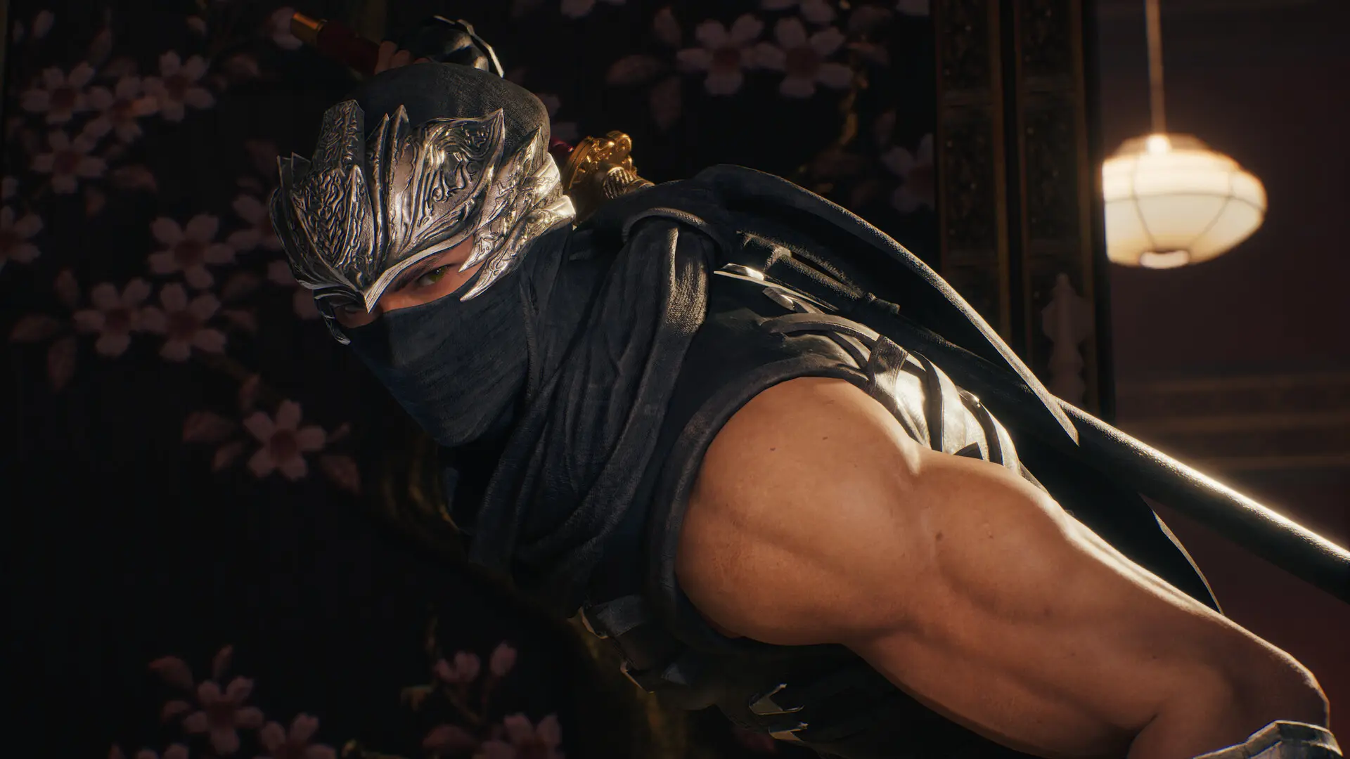 忍者龙剑传2:黑之章/NINJA GAIDEN 2 Black 游戏截图
