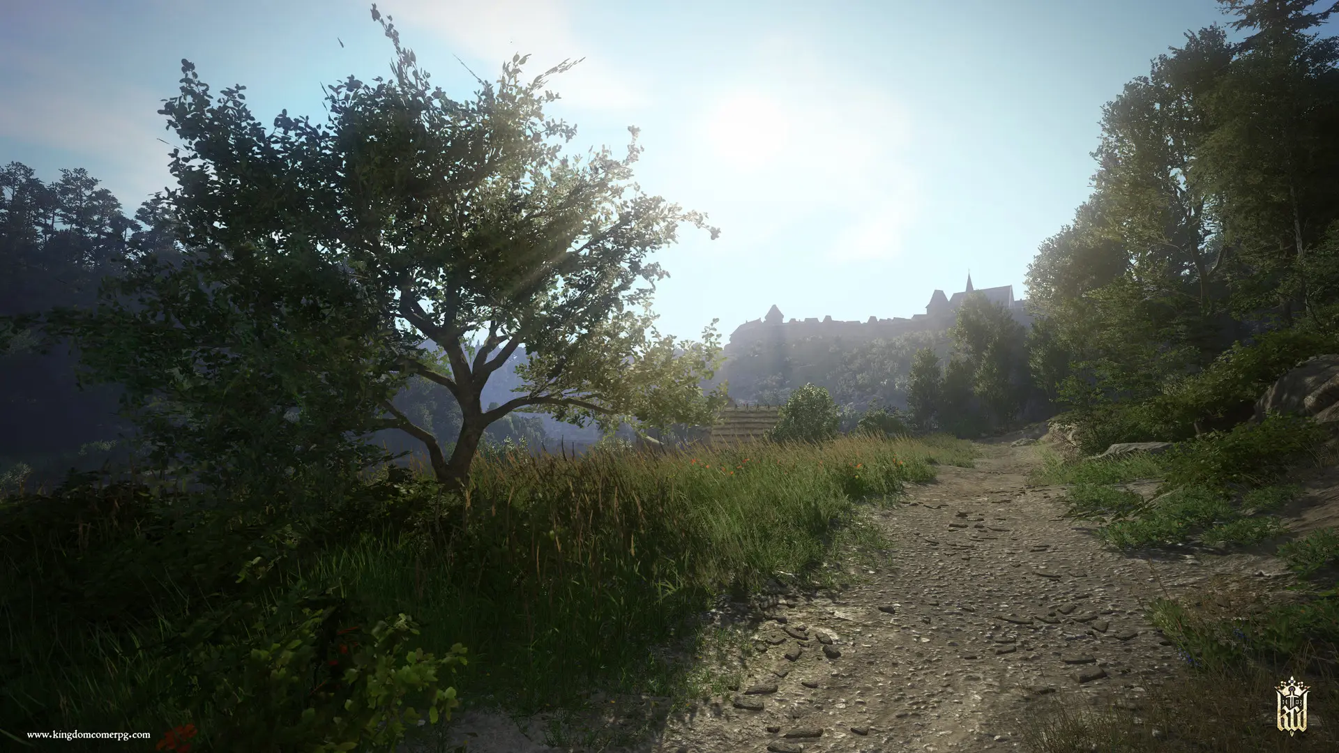 天国:拯救/Kingdom Come: Deliverance 游戏截图