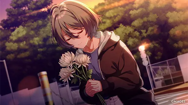 SINce Memories 星穹之下 数字版/SINce Memories: Off The Starry Sky) 游戏截图