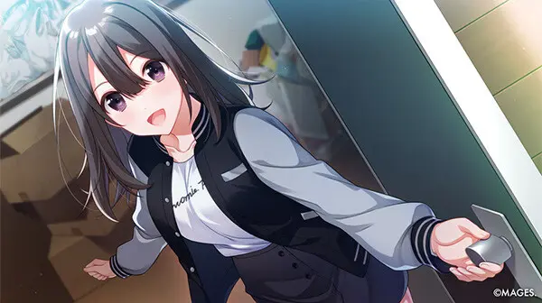 SINce Memories 星穹之下 数字版/SINce Memories: Off The Starry Sky) 游戏截图