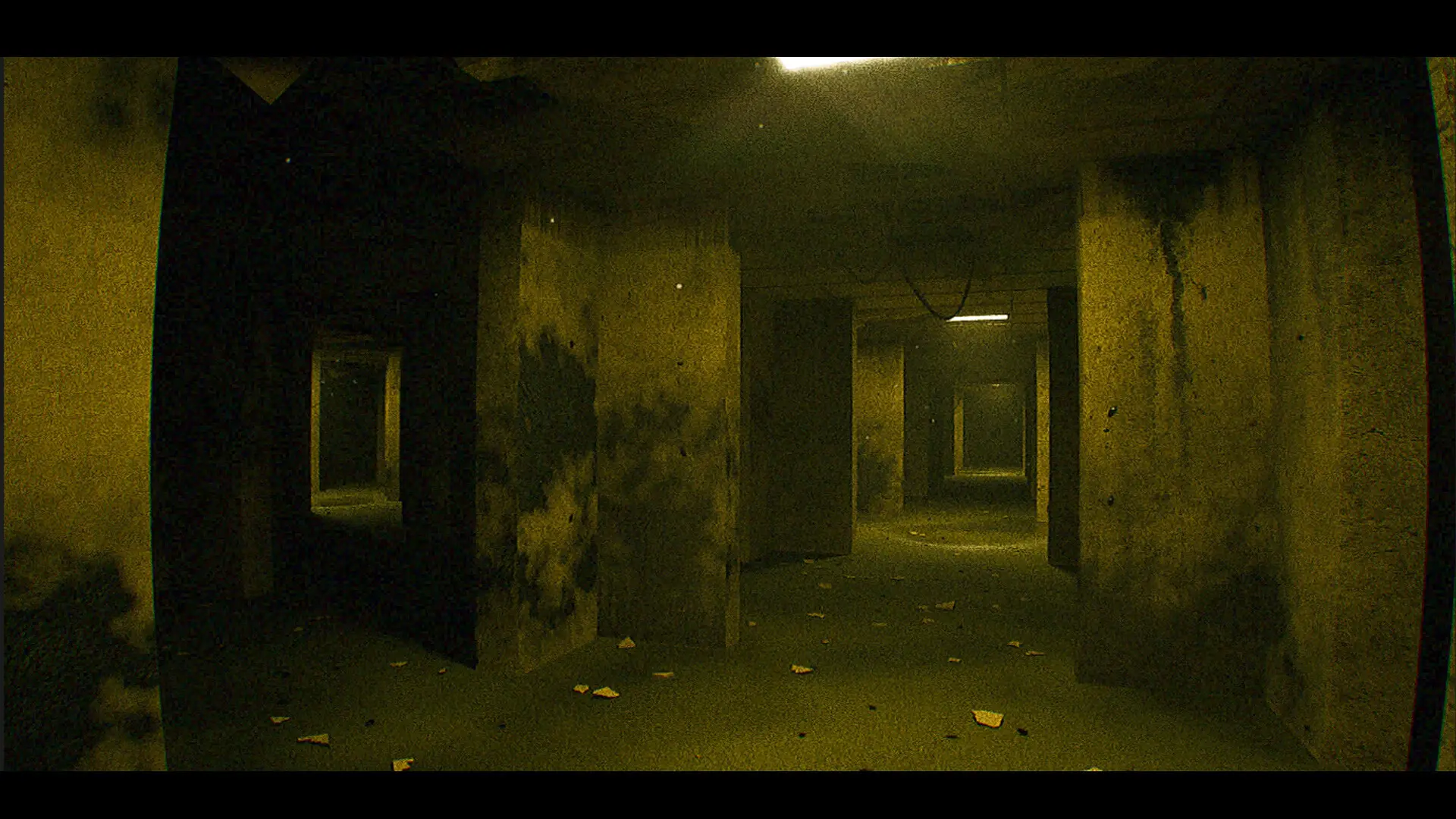 后室回声/Echoes of The Backrooms 游戏截图