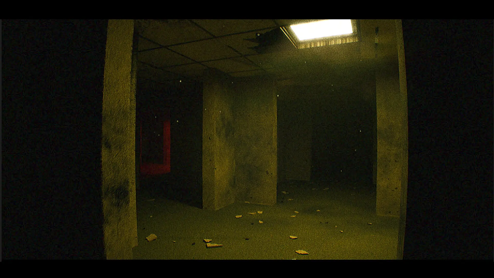 后室回声/Echoes of The Backrooms 游戏截图