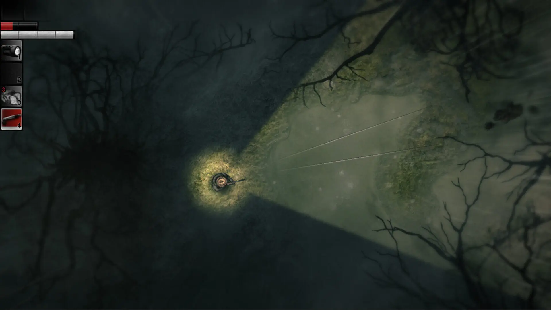 阴暗森林/Darkwood 游戏截图
