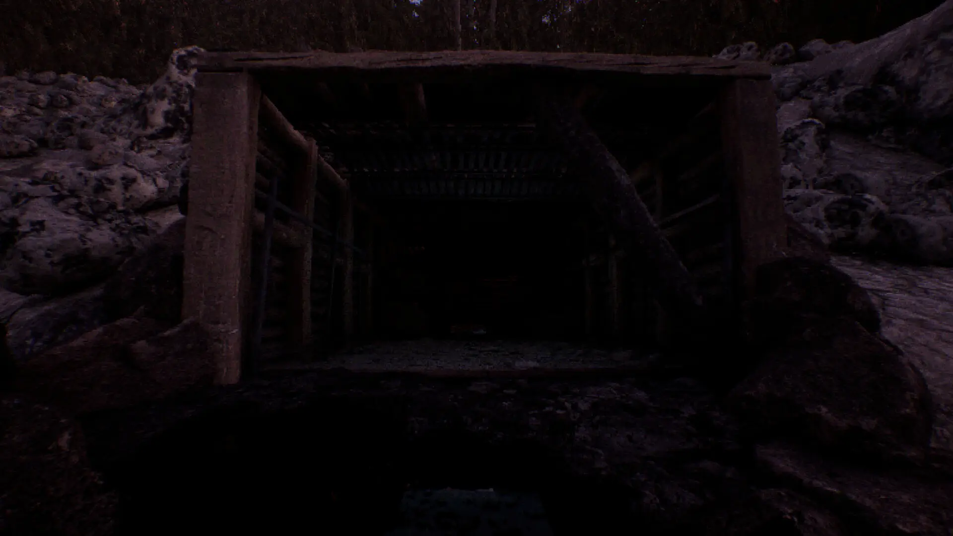 凝视之林:虱子/The Watching Woods: The Louse 游戏截图