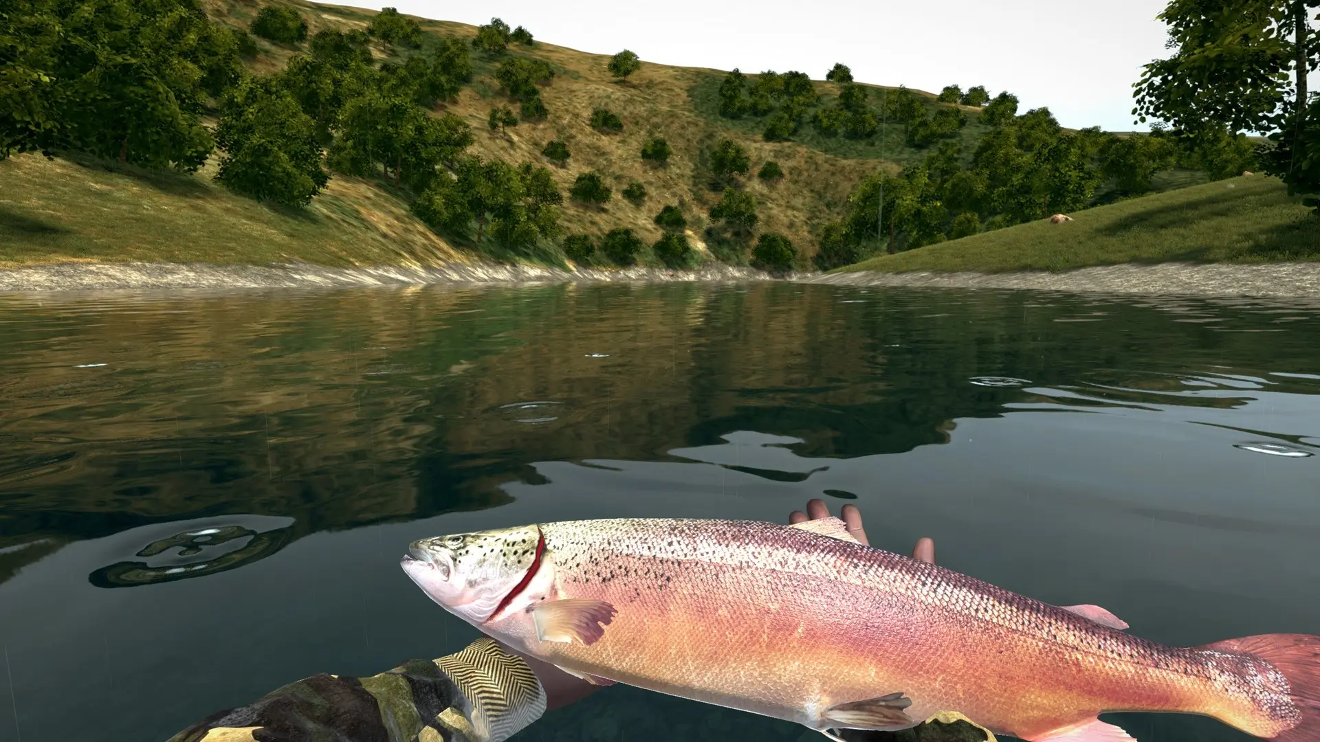 终极钓鱼模拟器/Ultimate Fishing Simulator 游戏截图