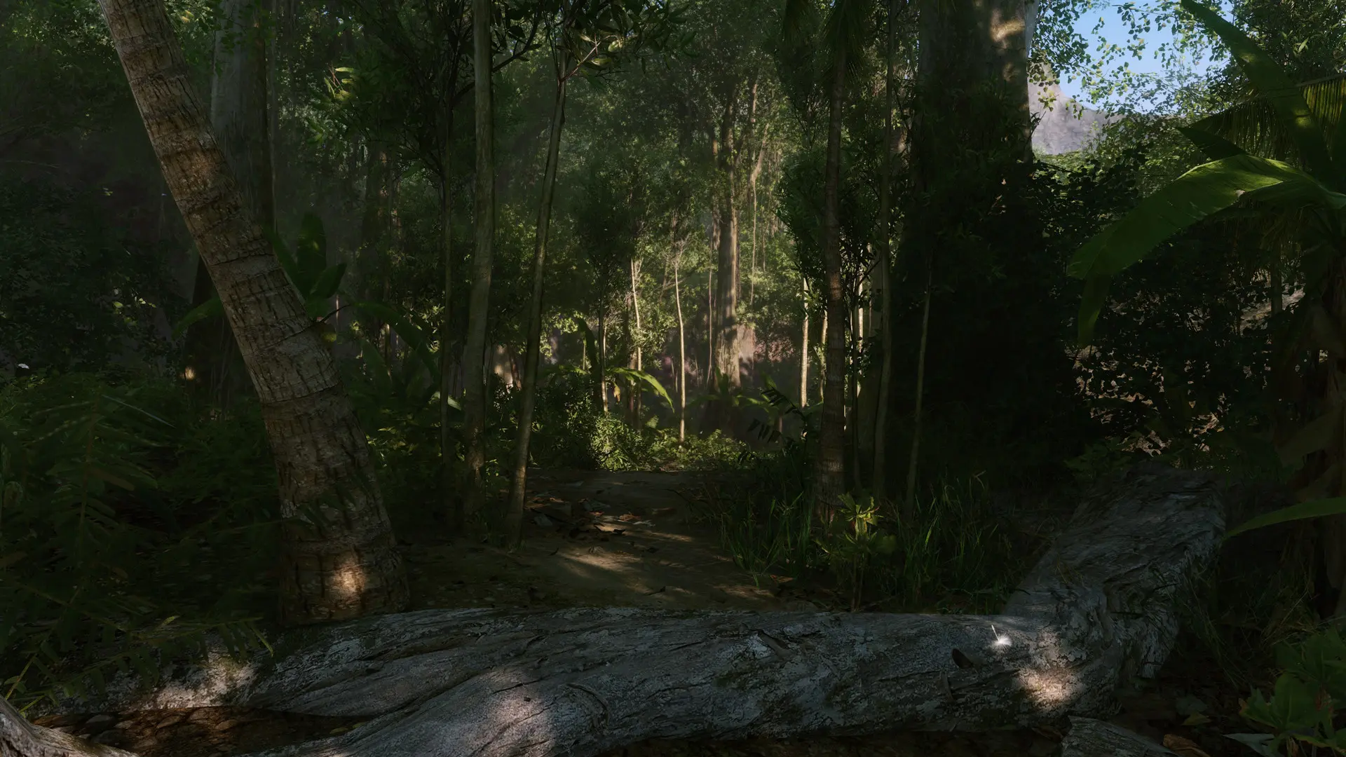 孤岛危机:重制版/Crysis Remastered 游戏截图
