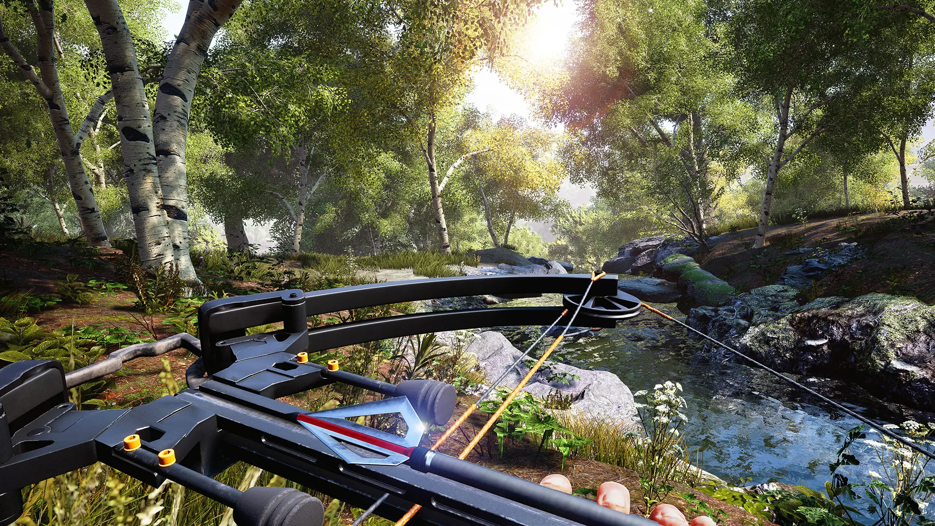 模拟狩猎/Hunting Simulator 游戏截图