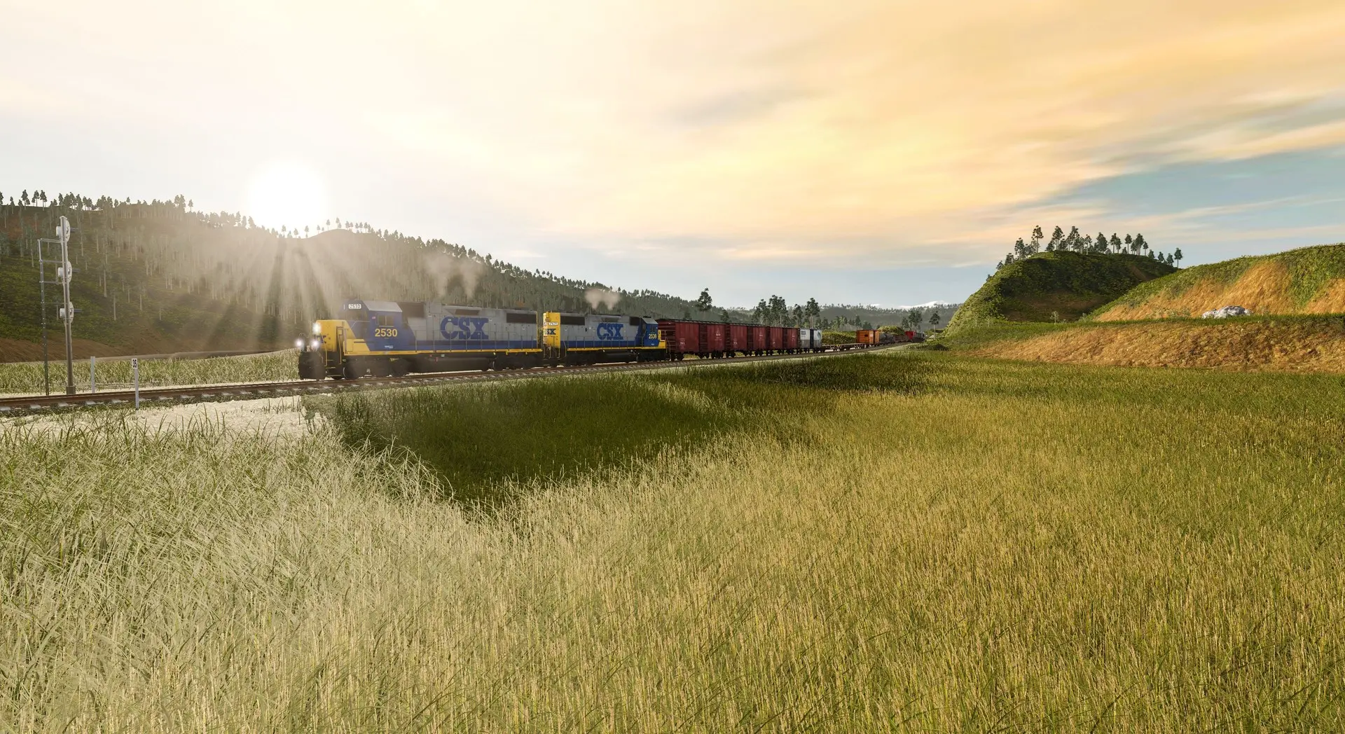 模拟火车2019/模拟列车2019/RW10/TS2022/Train Simulator 2019 游戏截图