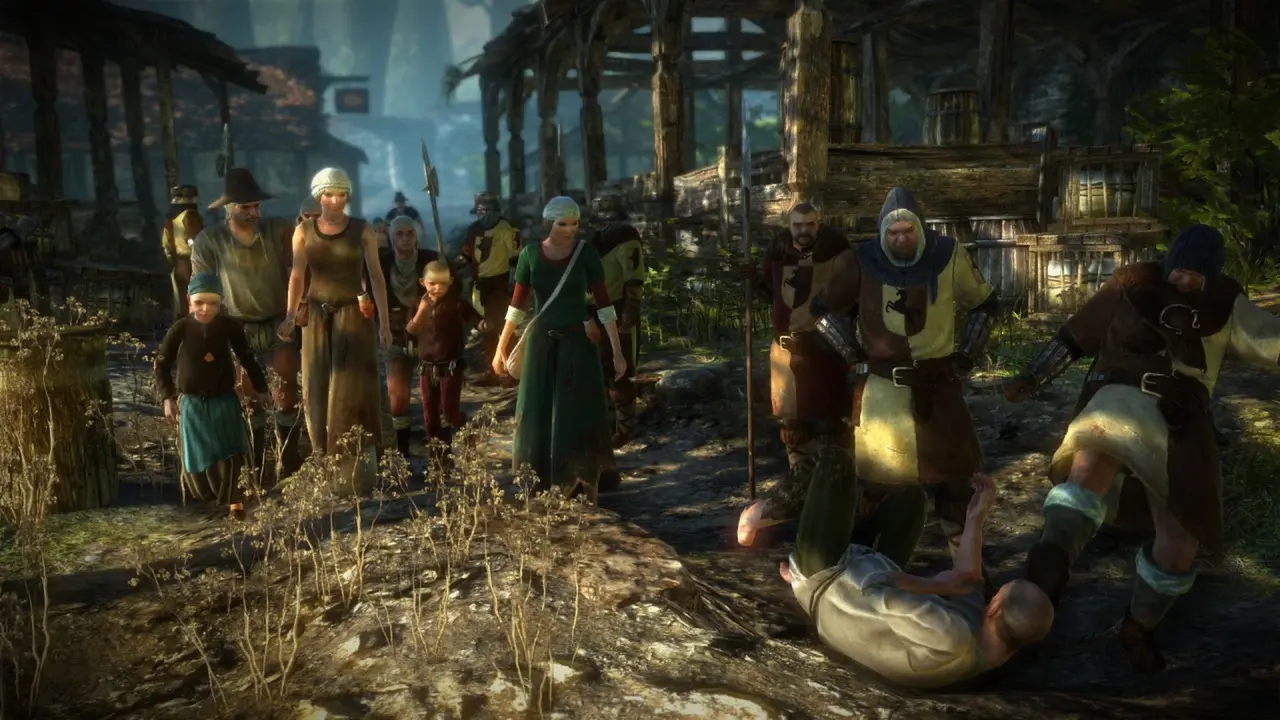 巫师2:刺客之王/The Witcher 2: Assassins of Kings 游戏截图