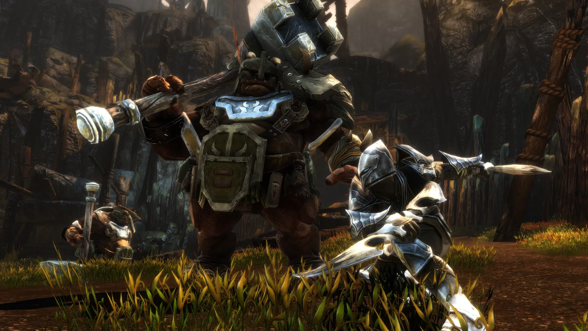 阿玛拉王国:惩罚重制版/Kingdoms of Amalur: Re-Reckoning 游戏截图