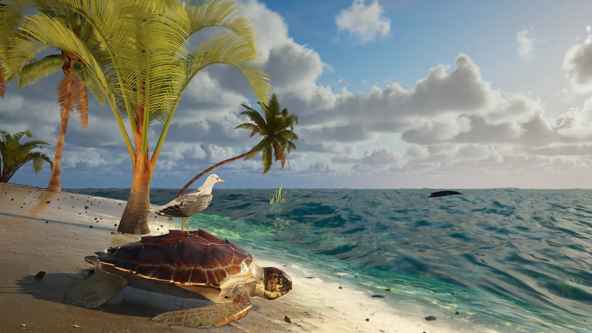伊甸岛/Eden Island 游戏截图