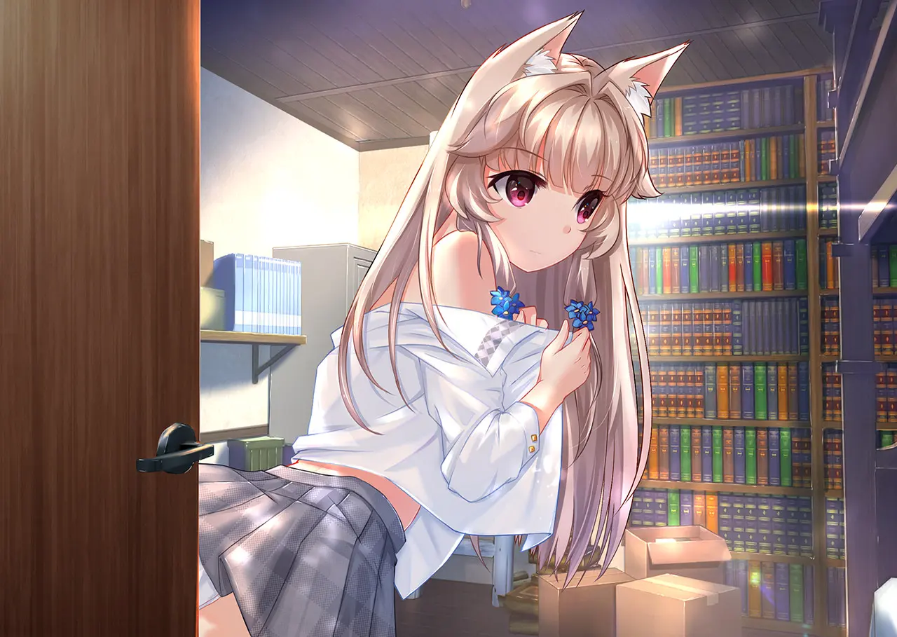 狐姬/Fox Hime 游戏截图