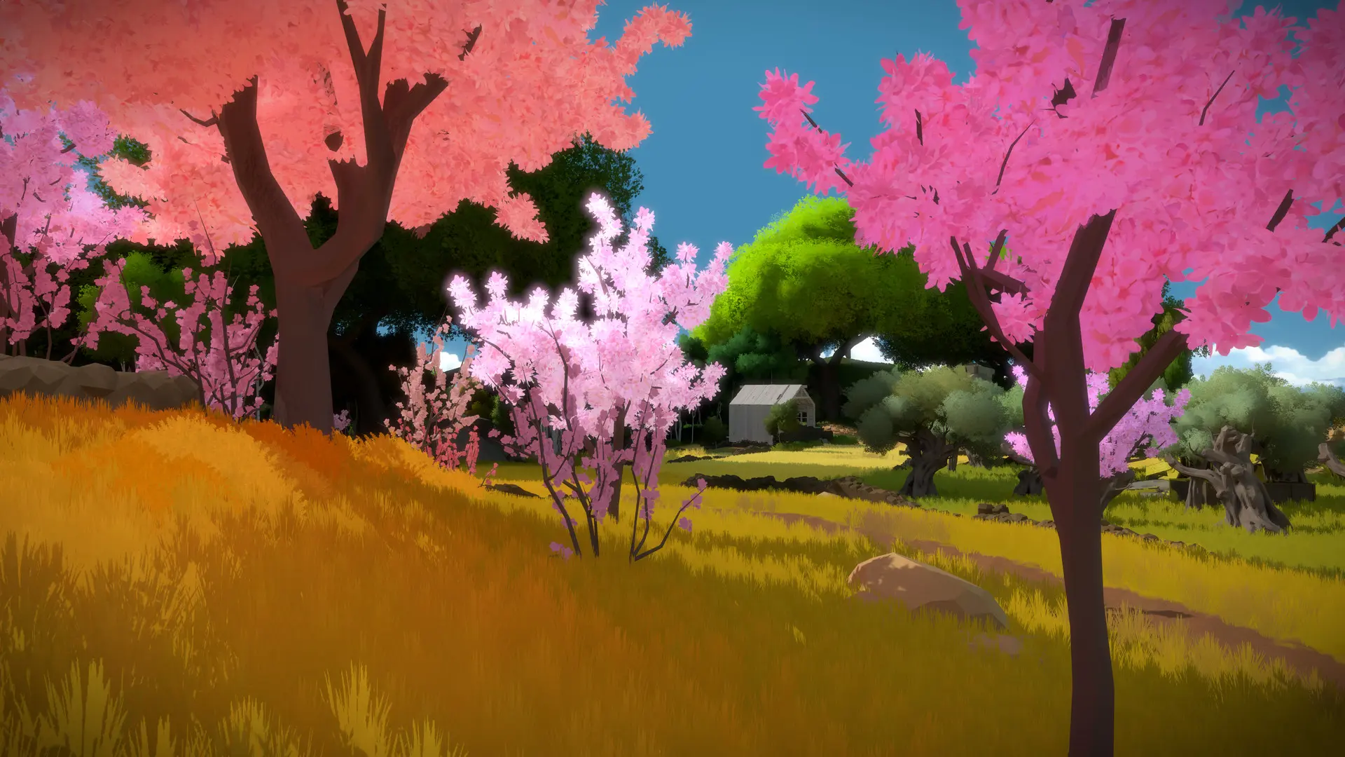 目击者/见证者/The Witness 游戏截图