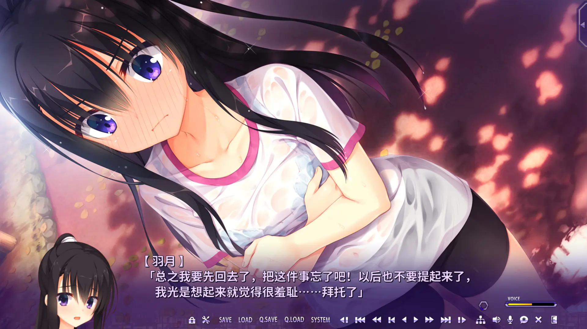 密命王牌/谜语小丑/Riddle Joker 游戏截图