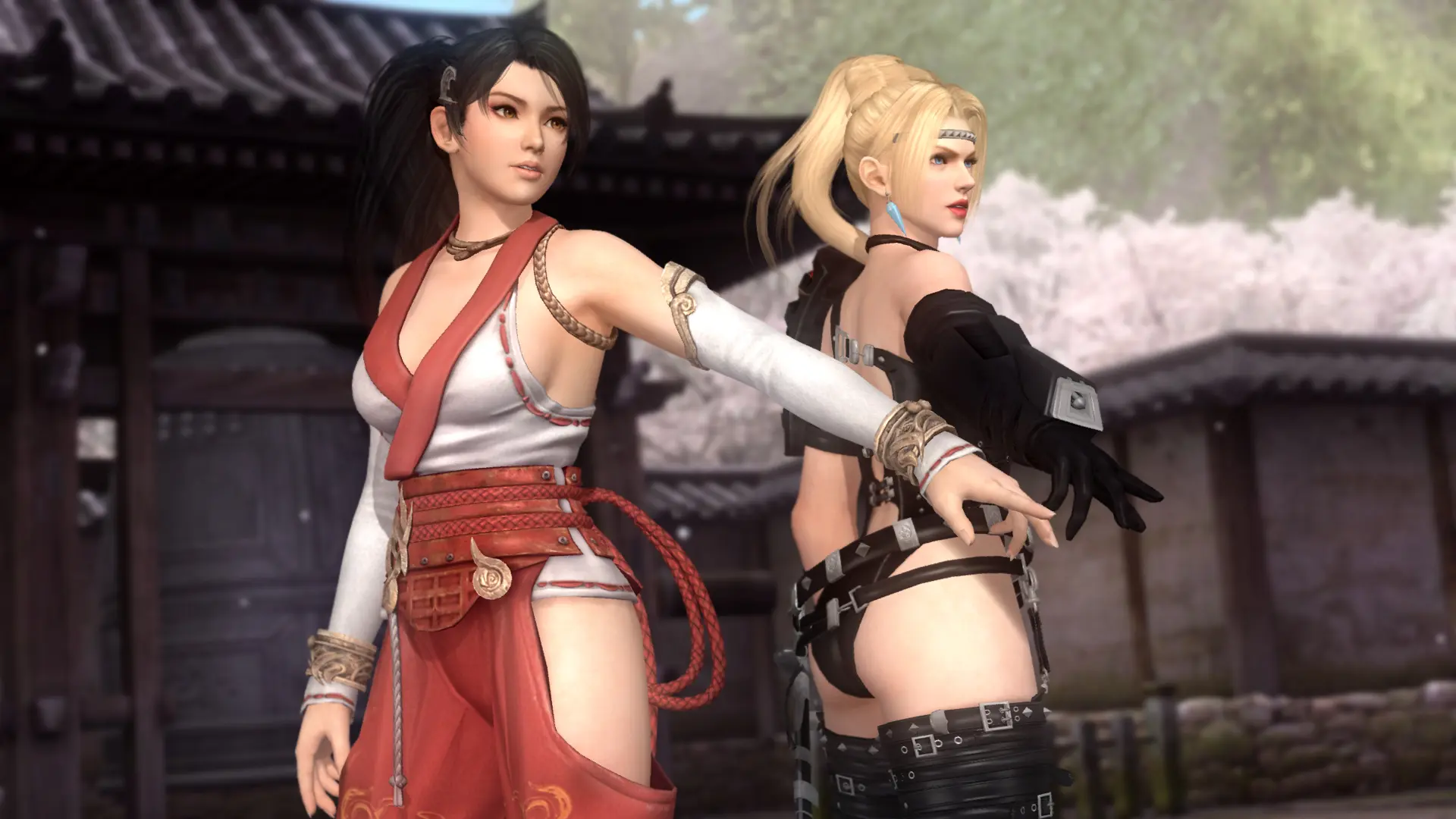 死或生5：最后一战/Dead or Alive 5：Last Round 游戏截图