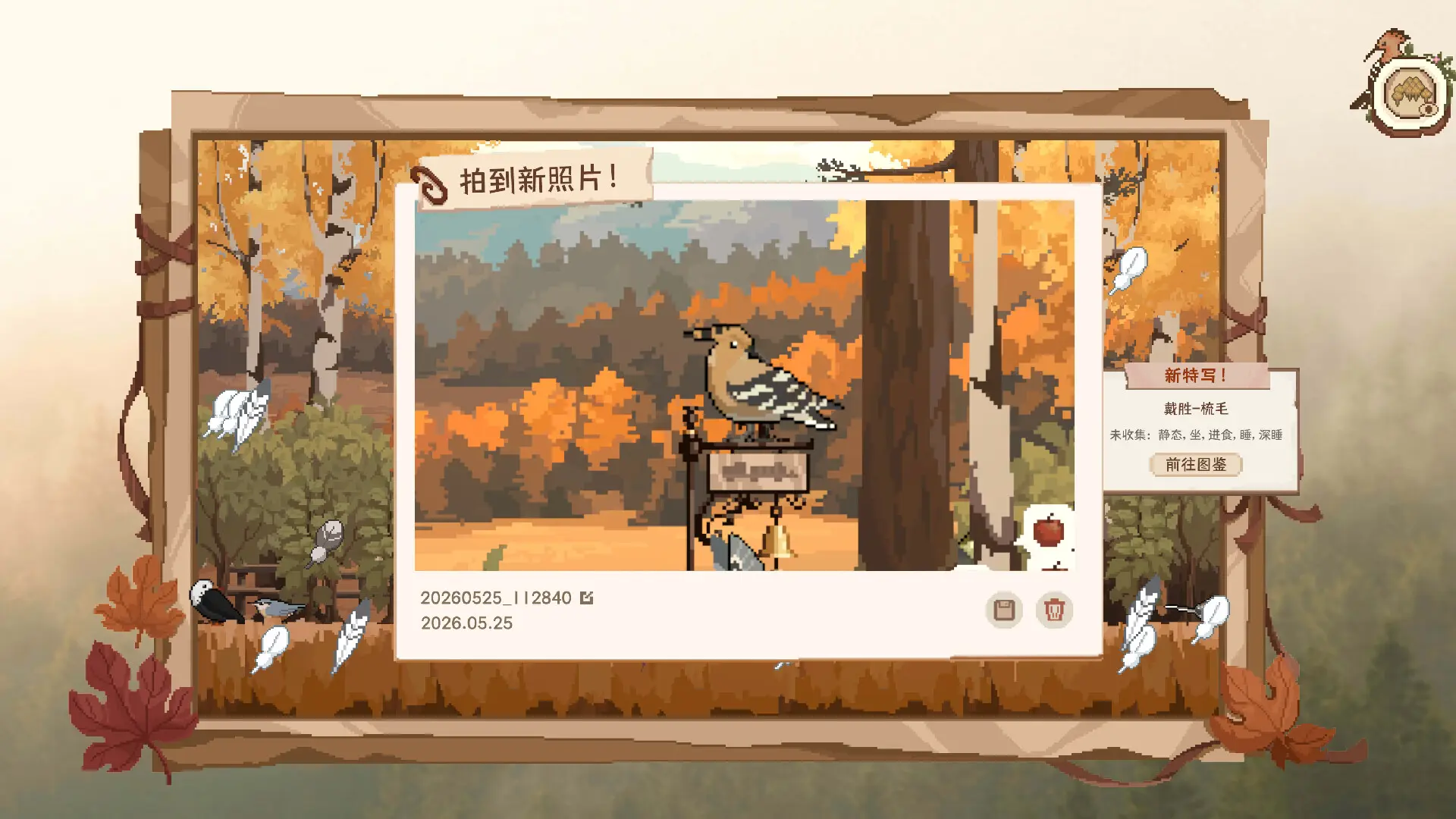 观鸟笔记/Birdwatching Notebook 游戏截图
