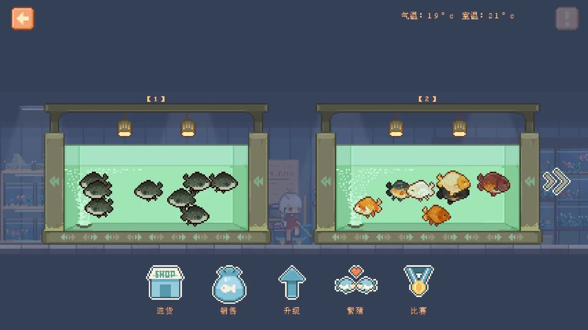 宠物街的金鱼姬/Pet Street Story 游戏截图