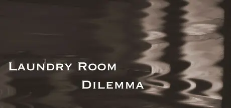 [PC]洗衣房困境/Laundry Room Dilemma-芝士游戏
